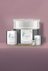 Ballet - Peinture biosourcée murs et plafonds