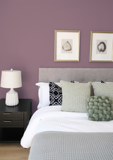 Ballet - Peinture biosourcée murs et plafonds