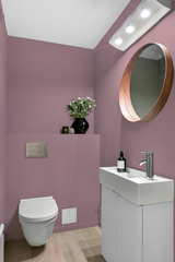 Ballet - Peinture biosourcée murs et plafonds