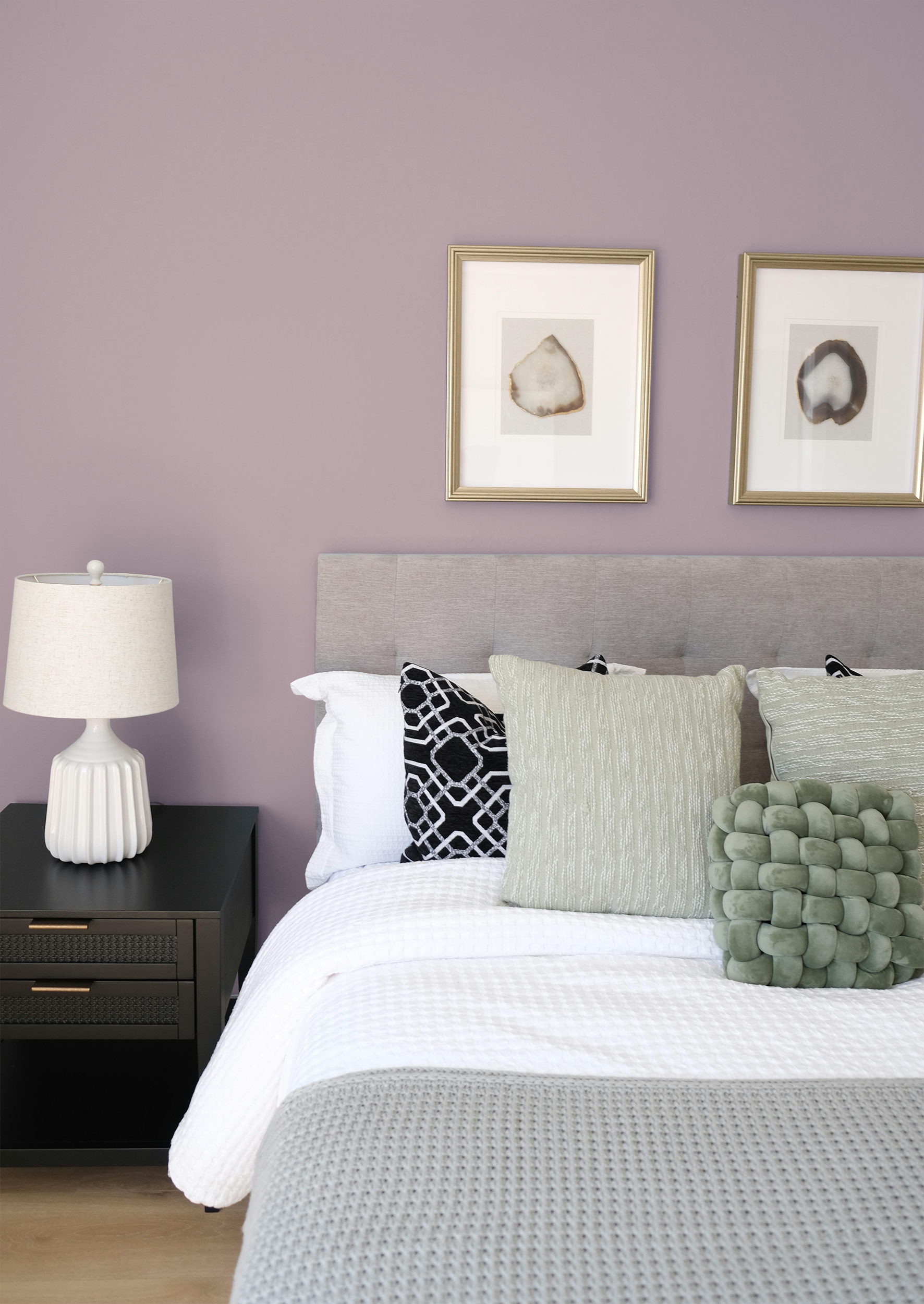 Douceur - Peinture biosourcée murs et plafonds