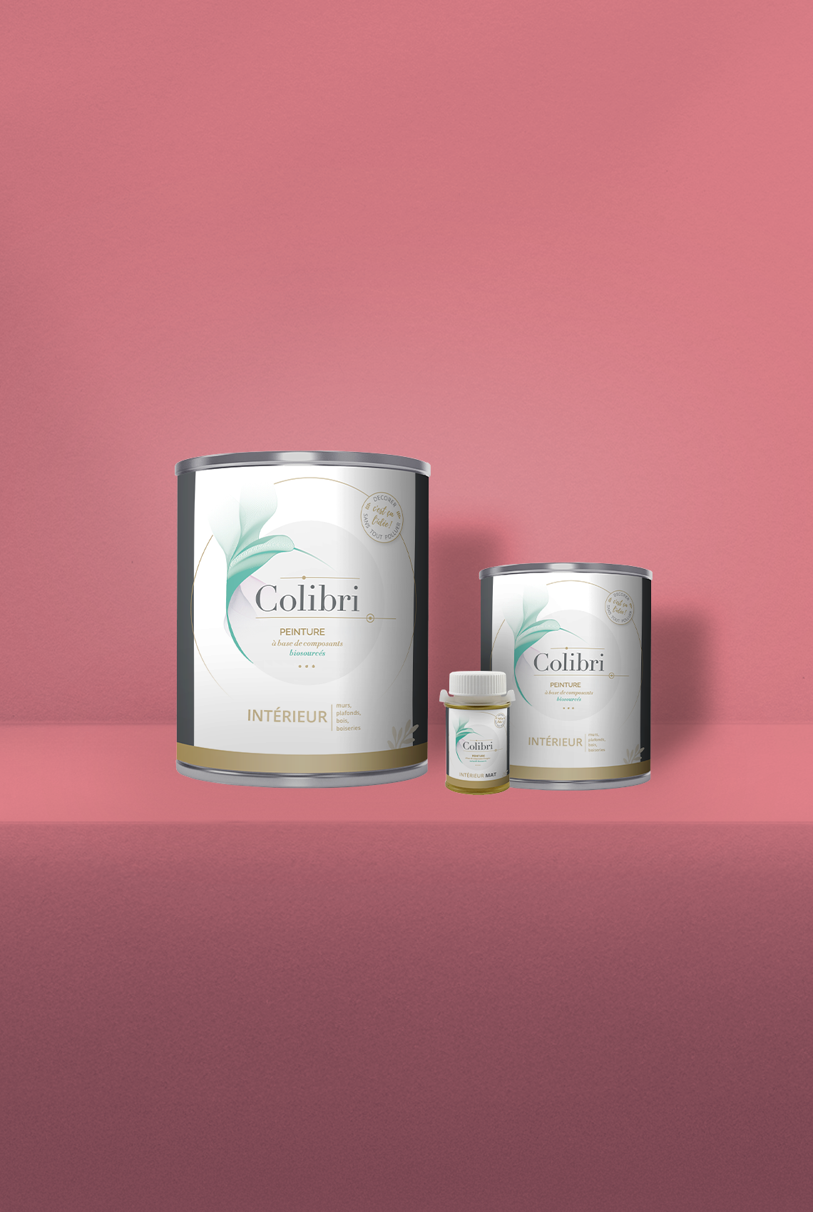 Papillotte - Peinture biosourcée murs et plafonds