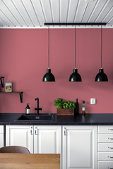 Papillotte - Peinture biosourcée murs et plafonds