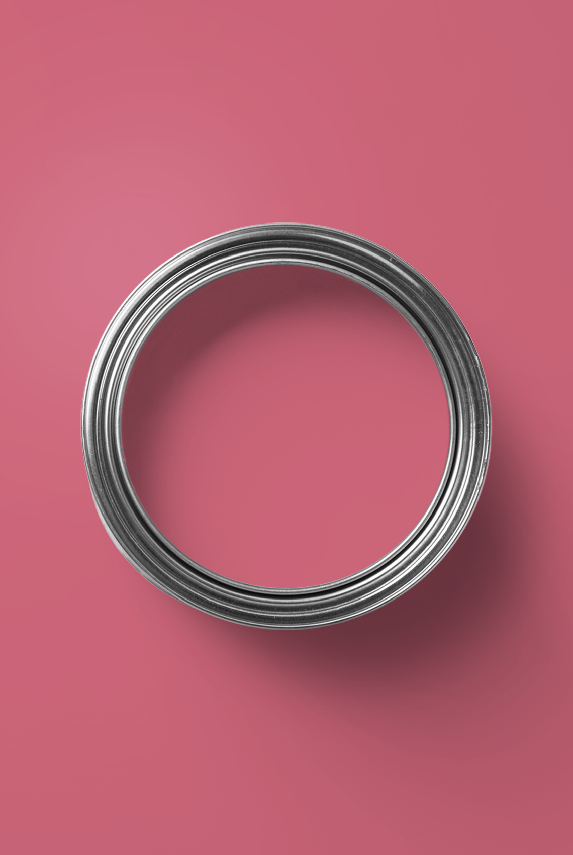 Bavarois - Peinture biosourcée murs et plafonds