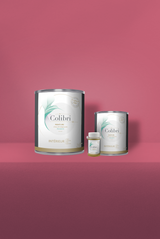 Bavarois - Peinture biosourcée murs et plafonds