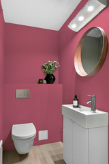 Bavarois - Peinture biosourcée murs et plafonds