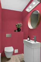 Tagada - Peinture biosourcée murs et plafonds