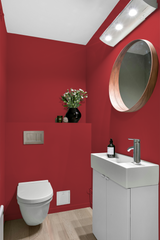 Cadmium - Peinture biosourcée murs et plafonds