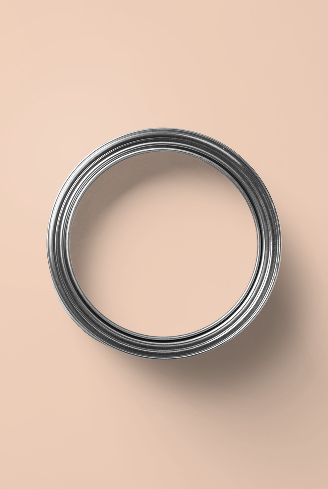 Geai - Peinture biosourcée murs et plafonds