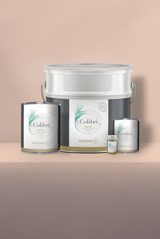 Geai - Peinture biosourcée murs et plafonds