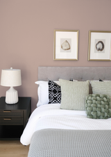 Geai - Peinture biosourcée murs et plafonds