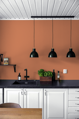 Passereau - Peinture biosourcée murs et plafonds