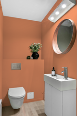 Passereau - Peinture biosourcée murs et plafonds