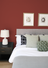 Grive - Peinture biosourcée murs et plafond