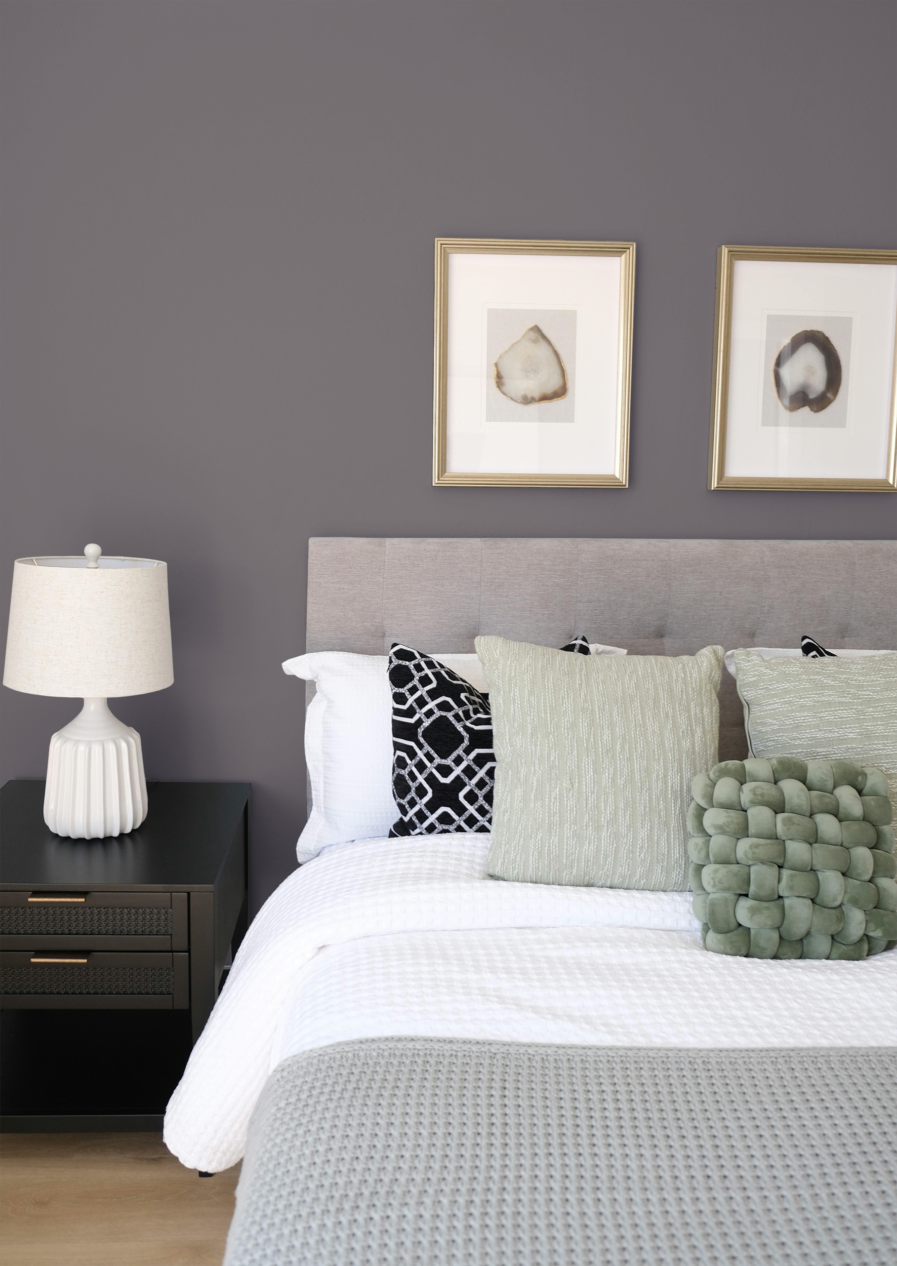 Calliope - Peinture biosourcée murs et plafonds