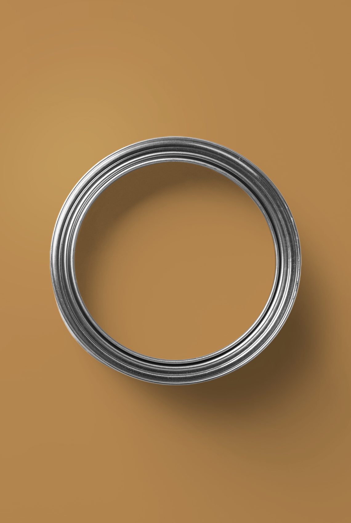 Bourdon - Peinture biosourcée murs et plafonds