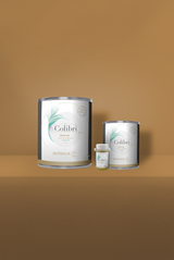 Bourdon - Peinture biosourcée murs et plafonds