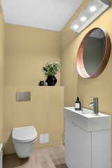 Nectar - Peinture biosourcée murs et plafonds