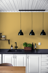 Orge - Peinture biosourcée murs et plafonds