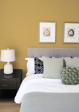 Orge - Peinture biosourcée murs et plafonds