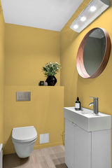 Orge - Peinture biosourcée murs et plafonds