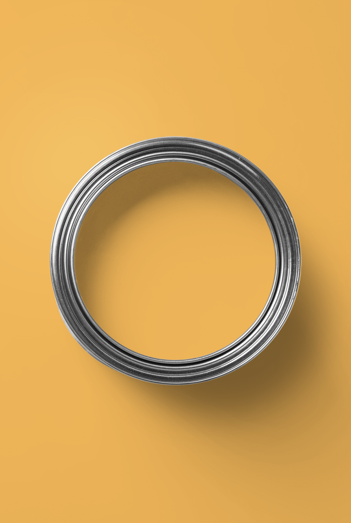 Propolis - Laque biosourcée bois et métal