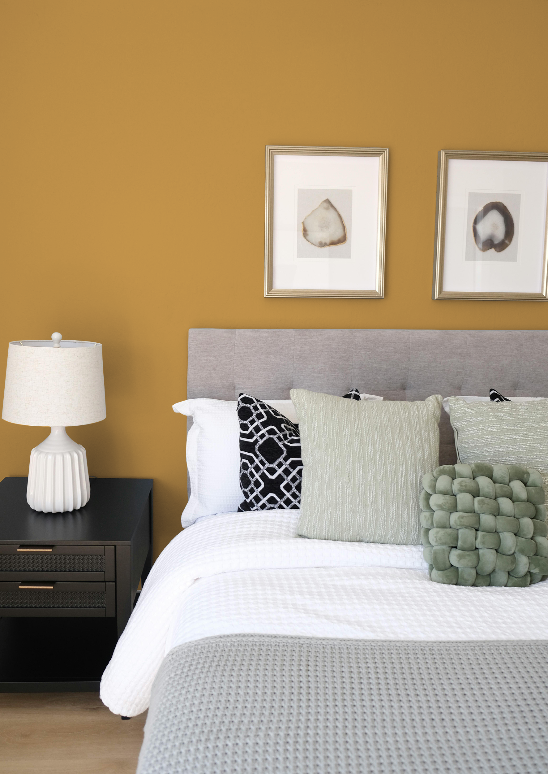 Propolis - Peinture biosourcée murs et plafonds