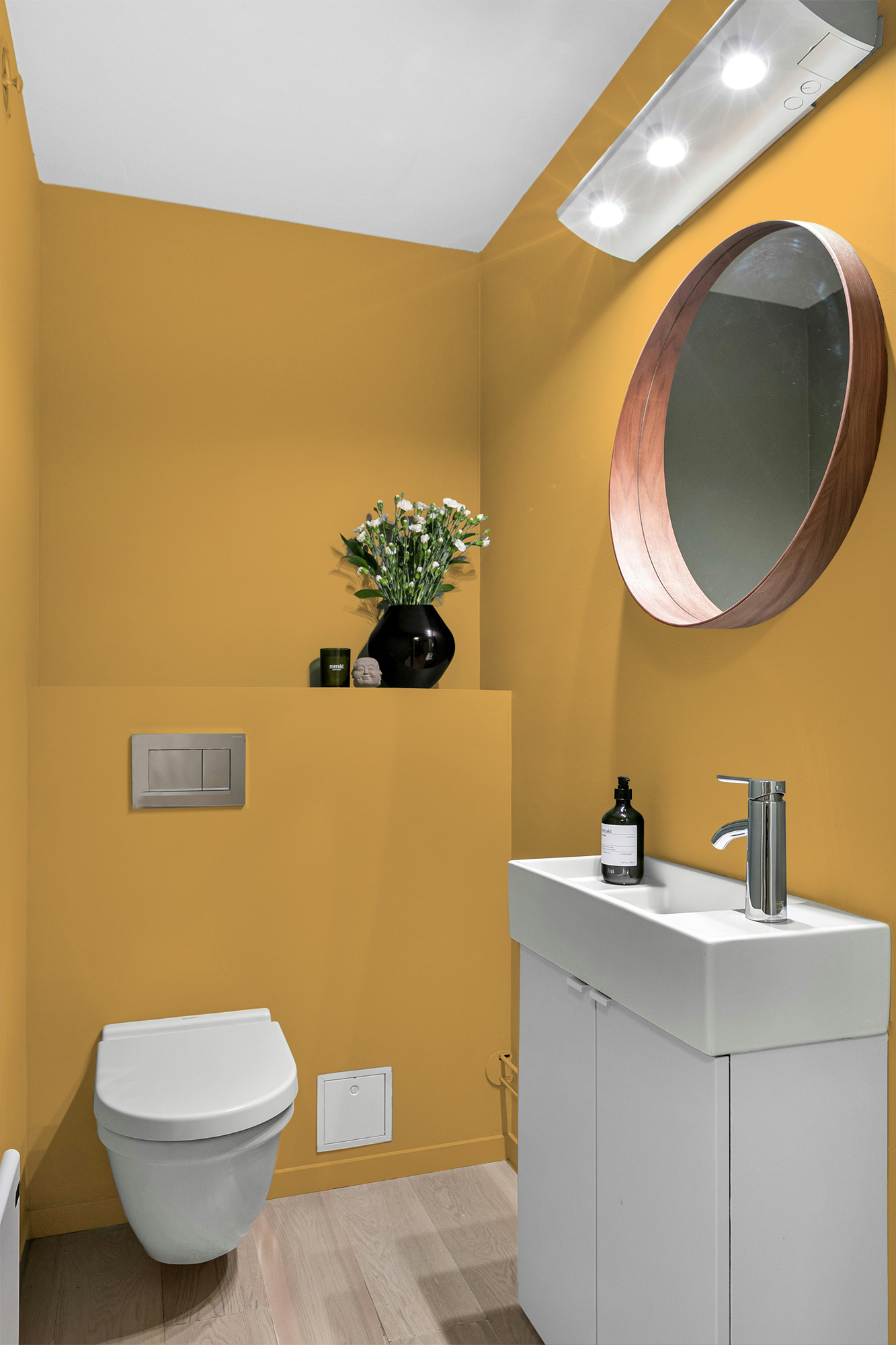 Propolis - Peinture biosourcée murs et plafonds