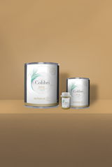 Epis - Peinture biosourcée murs et plafonds