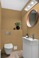 Epis - Peinture biosourcée murs et plafonds