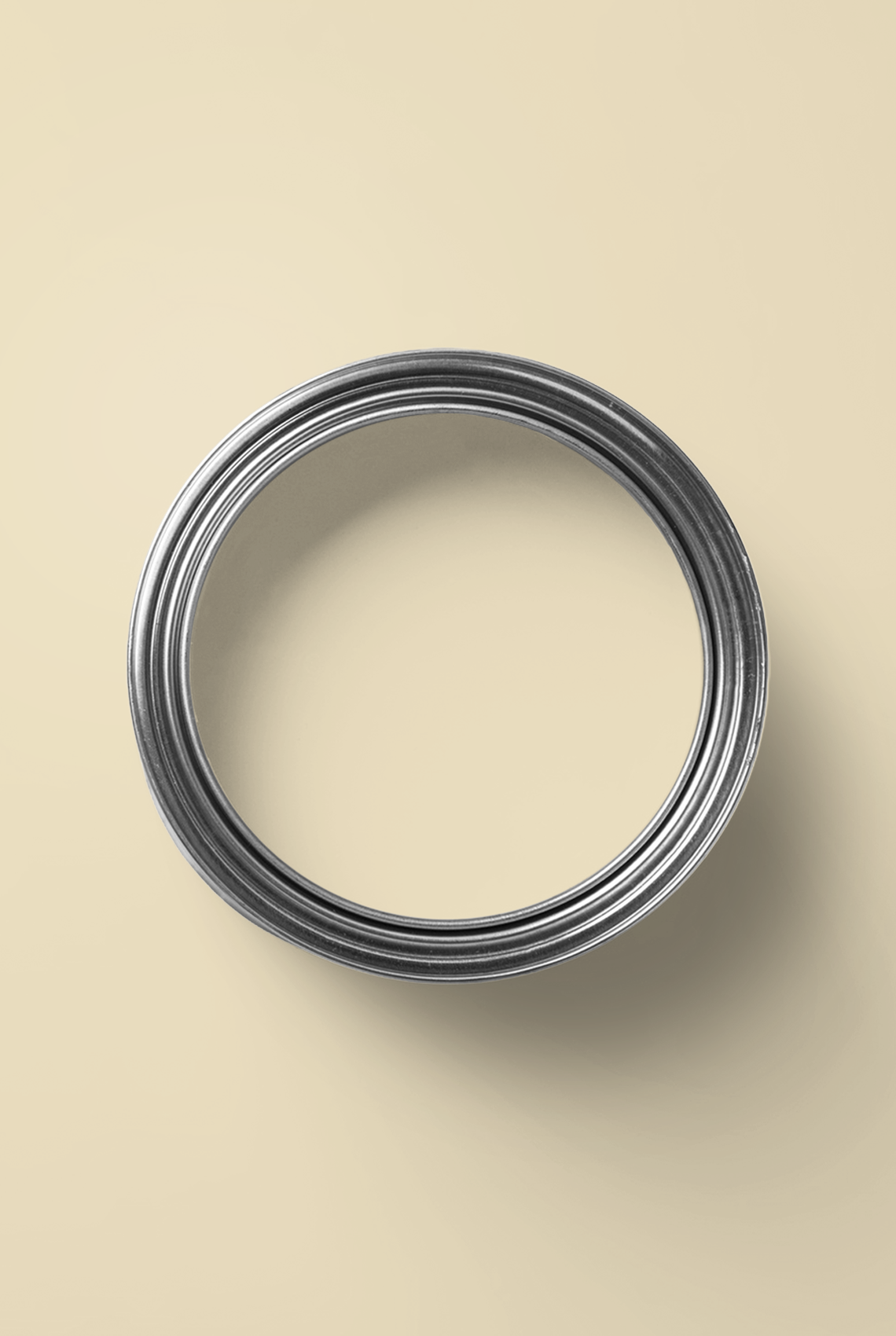 Dahlia - Peinture biosourcée murs et plafonds