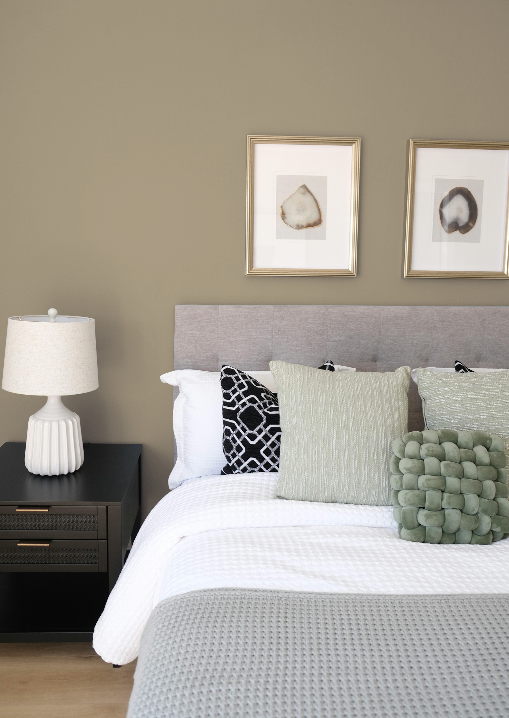 Anis - Peinture biosourcée murs et plafonds