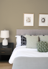 Anis - Peinture biosourcée murs et plafonds