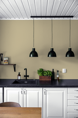 Picholine - Peinture biosourcée murs et plafonds