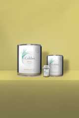 Bogue - Peinture biosourcée murs et plafonds