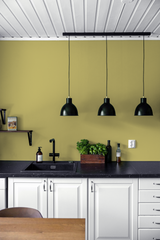 Bogue - Peinture biosourcée murs et plafonds