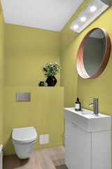 Bogue - Peinture biosourcée murs et plafonds