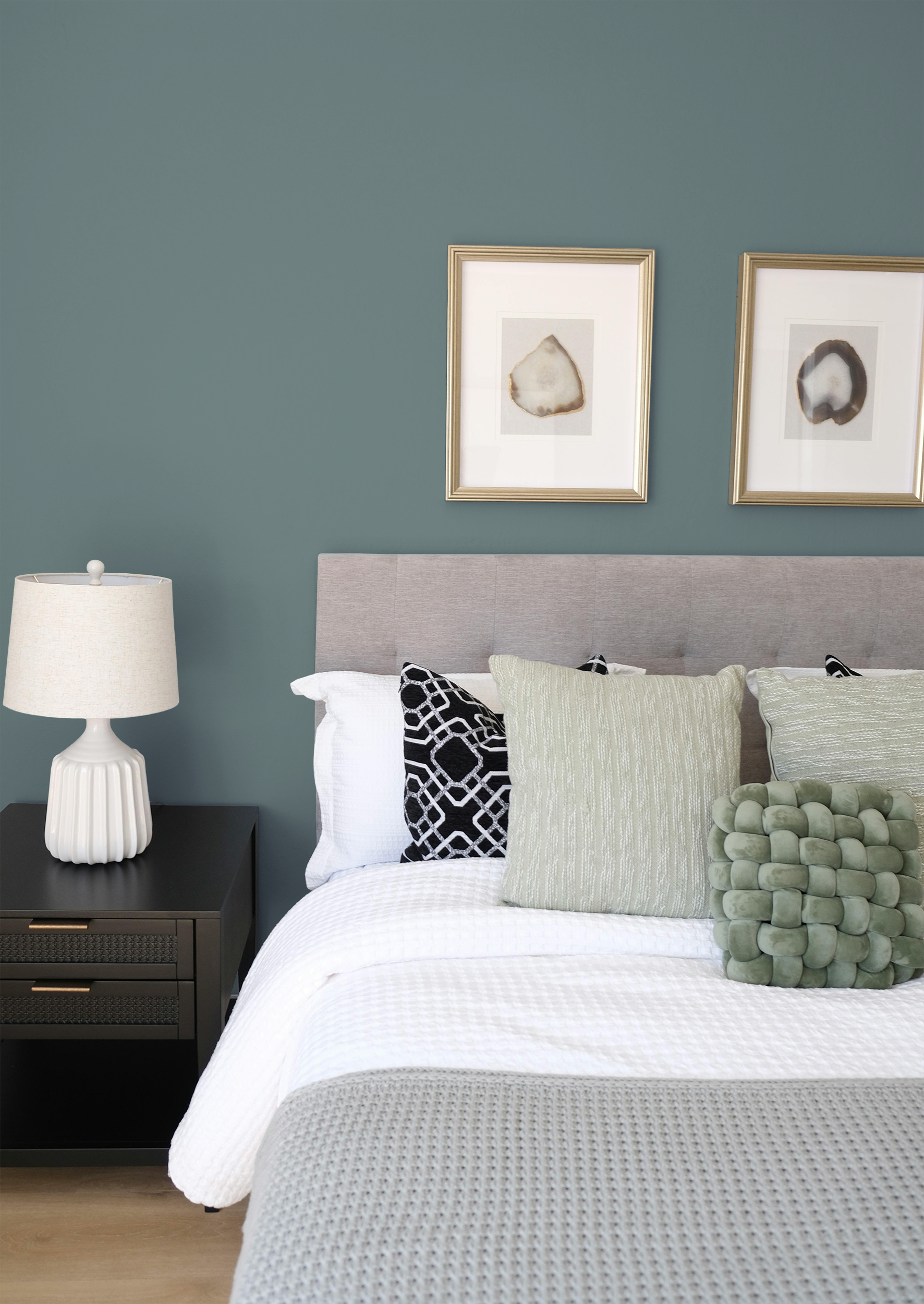 Céladon - Peinture biosourcée murs et plafonds