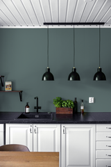 Saulaie - Peinture biosourcée murs et plafond