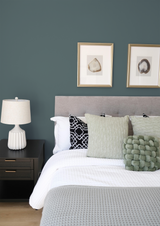 Saulaie - Peinture biosourcée murs et plafond