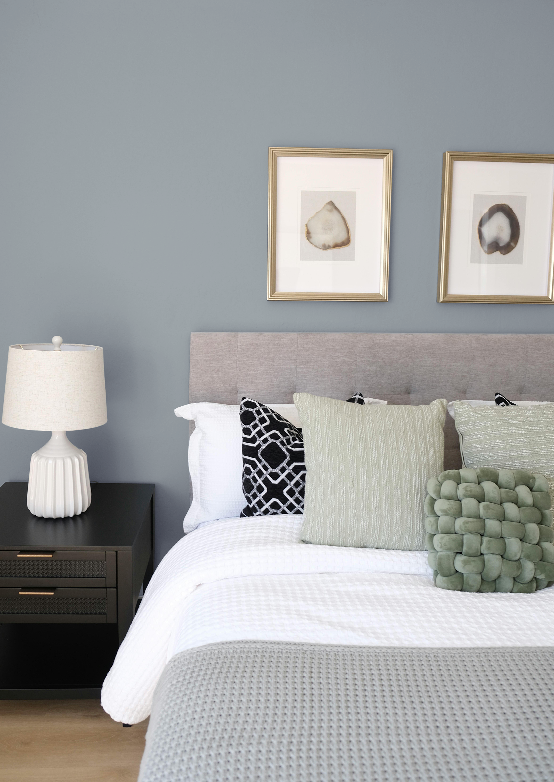 Corail - Peinture biosourcée murs et plafonds