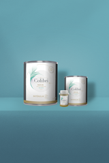 Equateur - Peinture biosourcée murs et plafonds