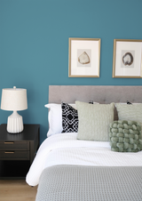 Equateur - Peinture biosourcée murs et plafonds