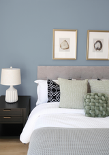 Air - Peinture biosourcée murs et plafonds