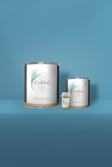 Céruléen - Peinture biosourcée murs et plafonds