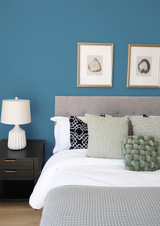 Céruléen - Peinture biosourcée murs et plafonds