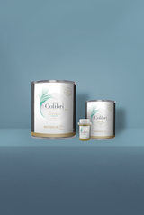 Lapis - Peinture biosourcée murs et plafonds