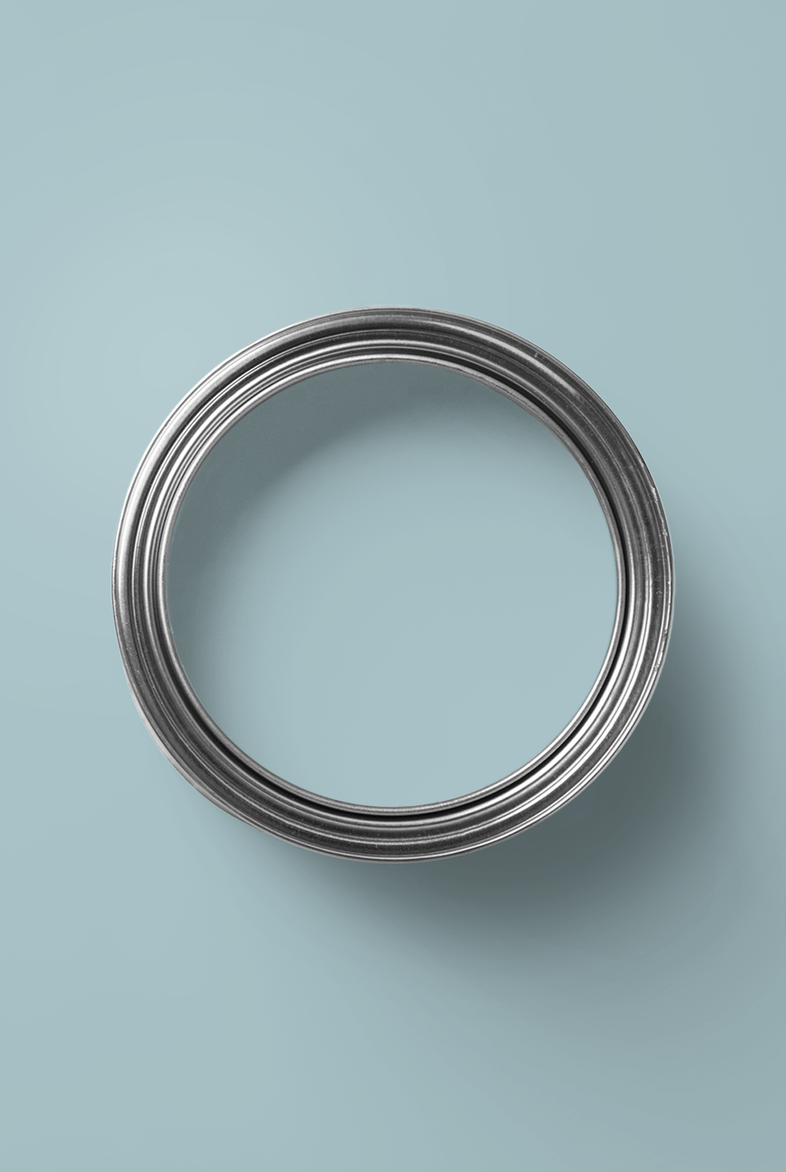 Agapanthe - Peinture biosourcée murs et plafonds