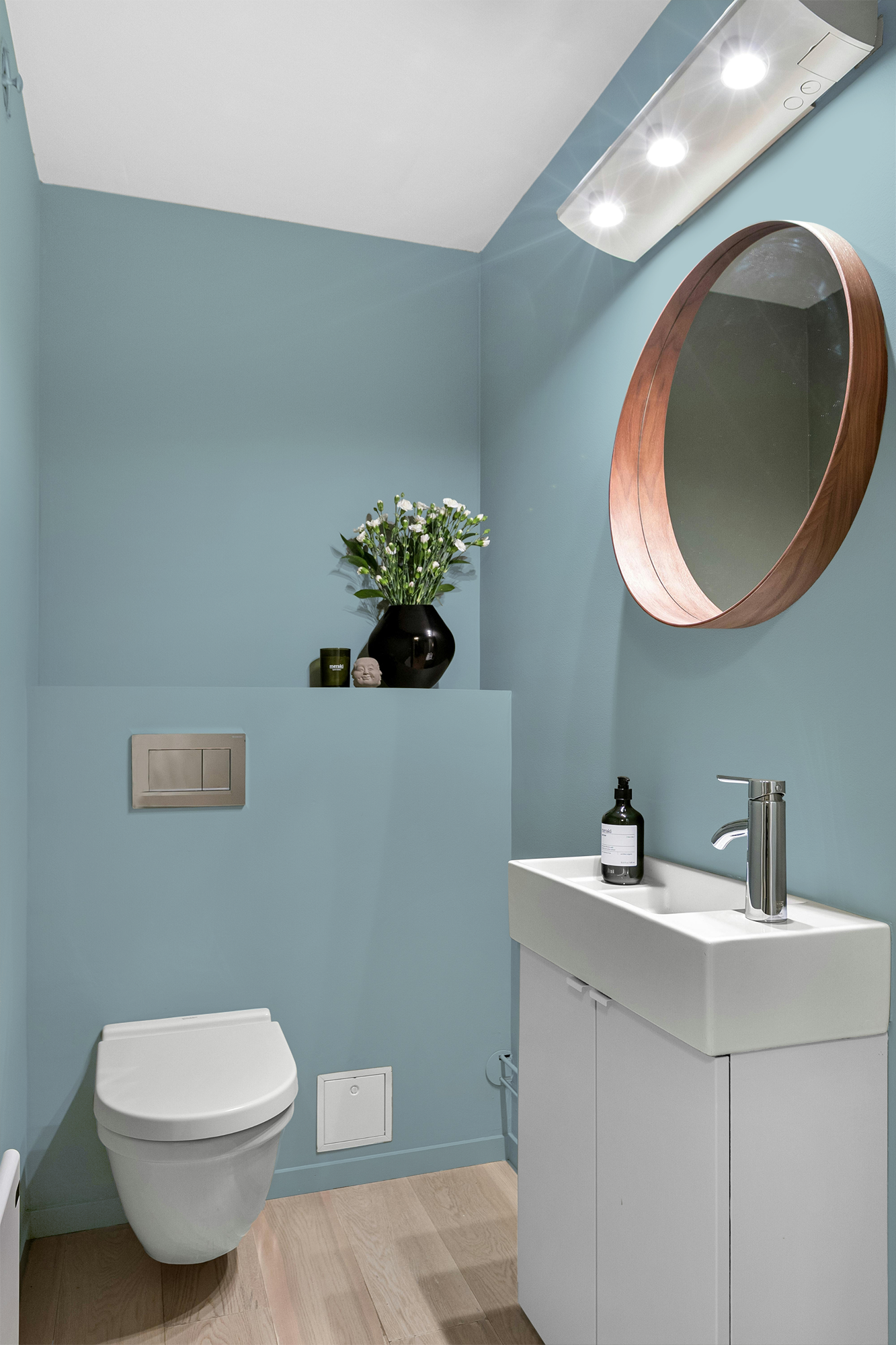 Agapanthe - Peinture biosourcée murs et plafonds