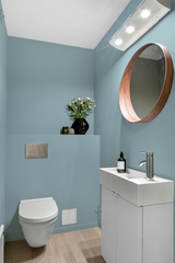 Agapanthe - Peinture biosourcée murs et plafonds