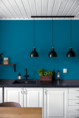 Agrion - Peinture biosourcée murs et plafonds